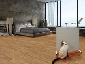 ����� ����������� ����������� �������������������. - ����������� 1