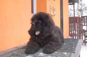 ����� ������������ - ����������� 1