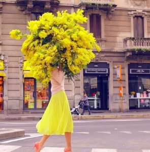 ����� ������������ - ����������� 1