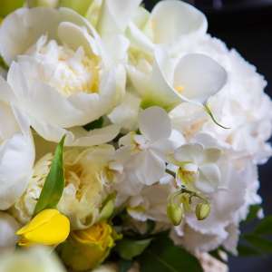 ����� ������������ - ����������� 1