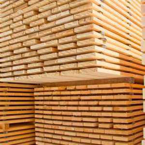 ����� ������������ - ����������� 1