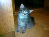 ����� �����-������� � ���������� ����. - ����������� 2