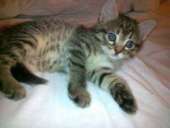 ����� �����-������� � ���������� ����. - ����������� 3