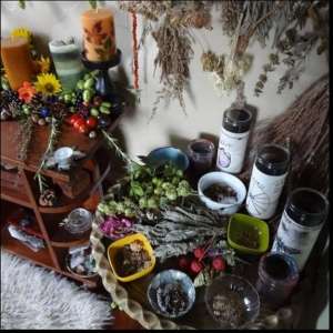 ����� - ������������ �� ���� � ����� (������, �����, �������, ������) - ����������� 1