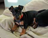 ����� ������������ �� ��������� ��������� - ����������� 2