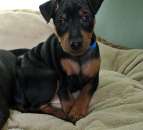 ����� ������������ �� ��������� ��������� - ����������� 3