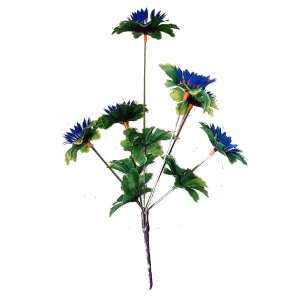 ����� ������������ ���. ������� - ����������� 1