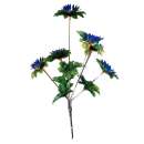 ����� ������������ ���. �������. ������ ��� ������� - ������