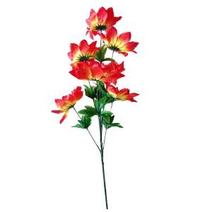 ����� ������������ ���. ������� - ����������� 1