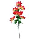 ����� ������������ ���. �������. ������ ��� ������� - ������