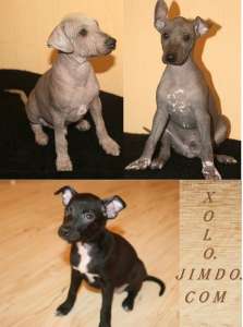 ����� ������������ ����� ������ (���������������) - ����������� 1