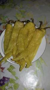 ����� ������������ - ������ - ����������� 1