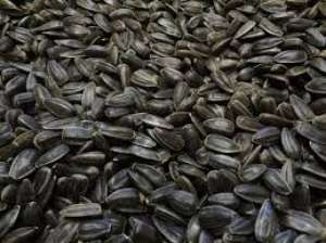 ����� ������������ ������� �� ������� ���� - ����������� 1