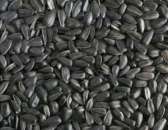 ����� ������������ ������� �������� �������� - ����������� 3