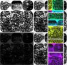 ����� ������������ ��������� ��� 1.1 ���� 24379.1-80 - ����������� 2