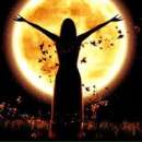 ����� ������������, ��������� ���������.