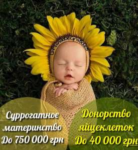 ����� ������������ ����������� �HappyMama� - ����������� 1