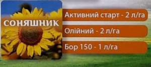 ����� ������������ ����������� ��� ��������� : �������� ����� 2�/�� + ����� ������ 2 �/�� + ����� ��� 1 �/�� - ����������� 1