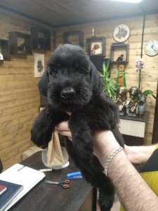 ����� ������������� - ����������� 1