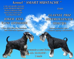 ����� ������������� ������ ������ � �������� - ����������� 1