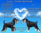 ������� � ����������: ����� ������������� ������ ������ � ��������