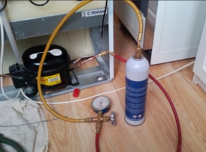 ����� �������������, ���������� � ������������� ����� - ĸ����! - ����������� 1