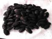 ������� � ����������: ����� �������������. �������������� ������ �� ������������ ��������.