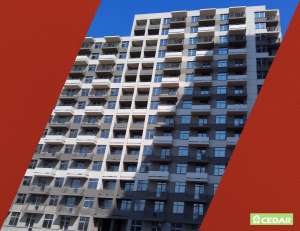 ����� �������������� Cedar, S 1040-Y50R - ����������� 1