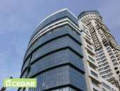 ����� �������������� Cedar, S 1040-Y50R - ����������� 2