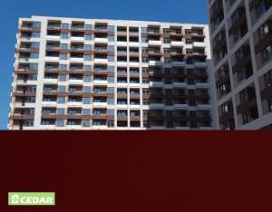 ����� �������������� Cedar, S 4040-Y70R - ����������� 1