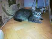 ����� ������-�������� - ����������� 2