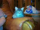 ����� ������-�������� - ����������� 3