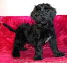 ����� ��������������