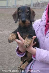 ����� �������������� ����� - ����������� 1