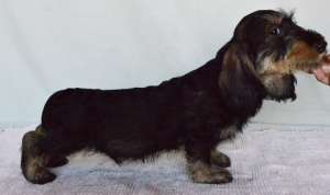 ����� �������������� - ������� ������ - ����������� 1