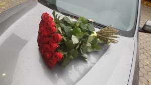 ����� ����������/�������� ������ - ����������� 1