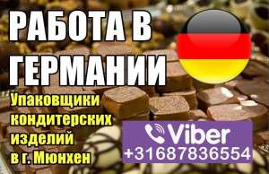 �����a�� �a 2900 ����. ��a������� �����a���x ������� � �.���x��. - ����������� 1