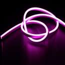 �����c��� ���������� �� 3500 ����� ����������. ����������, ������� - ������