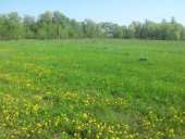 ������! 10 ���. ��� ������������� � �.������� �������� �������, ����������� ������, �������� �������. - ����������� 2