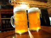 ������� � ����������: ������ 106 �2 � �������.