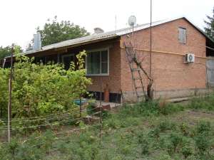 ������ 1/2 �������� (95��.�.) - ����������� 1