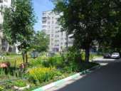 ������ 1-� �������� � ������������ ������ - ����������� 2