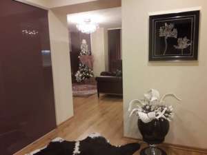 ������ 2 �.�� 86 ��.� � ������������ �������� - ����������� 1