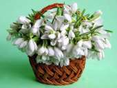 ������� � ����������: ������ 2 ����� �� �������� ��������