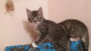 ������ 2 ������ - ����������� 1