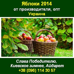 ������ 2014 ������ ���, ������ ������ ������� - ����������� 1