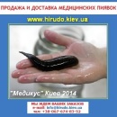 ������� � ����������: ������ 2014 ����������� ������������� ����