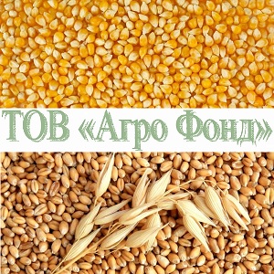 ������ 2018 �������� ��������, ������� ��������� - ����������� 1