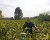 ������ 2-���� �������� ������� ����� �� ������. �������� - �������/�������