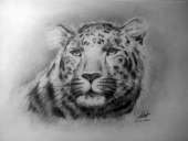 ������� � ����������: ������ 32 ��� ��������� �� 40 ���. �� ��������!!!